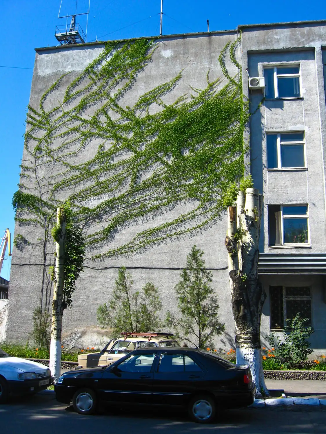 Hedge End taxi parked near tall building with green wall vines